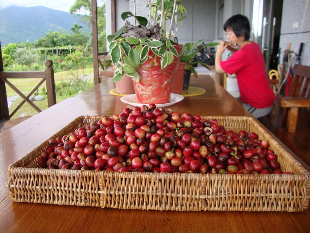 Taroko Sialin Coffee Farm Homestay Xiulin Exterior photo